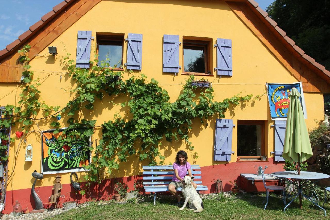 Abri De Jardin Amenage, Chambre Camping Glamour Otel Lalaye Dış mekan fotoğraf