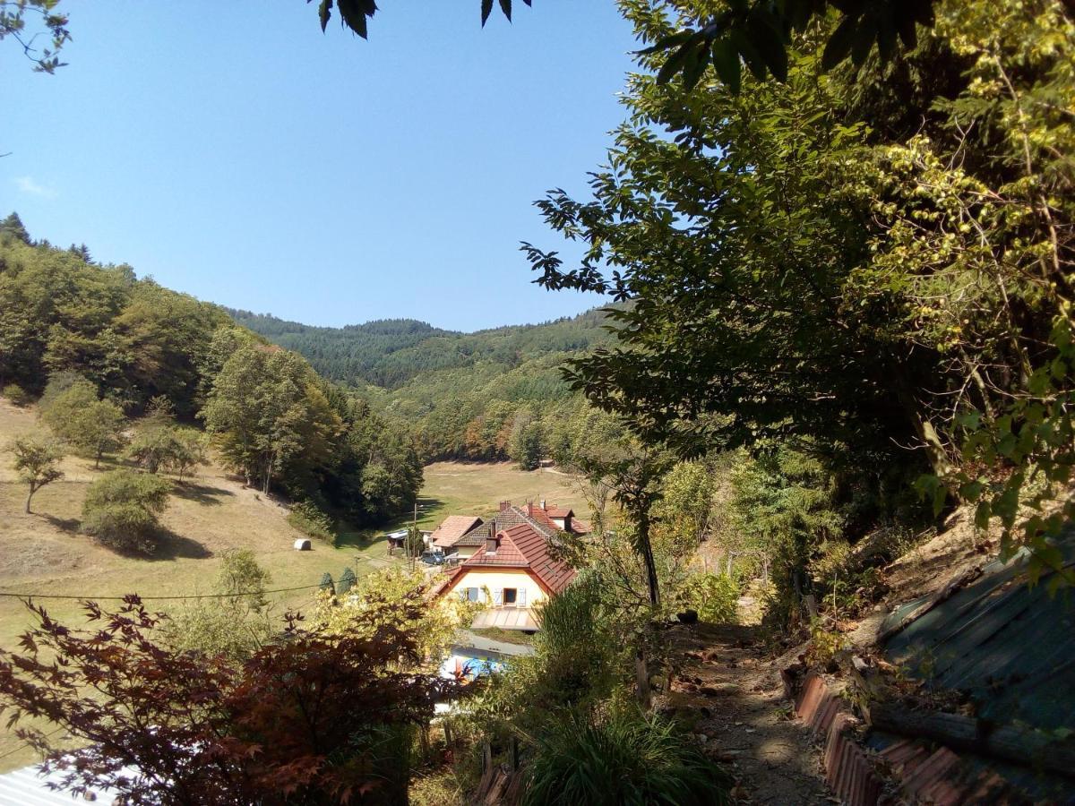 Abri De Jardin Amenage, Chambre Camping Glamour Otel Lalaye Dış mekan fotoğraf